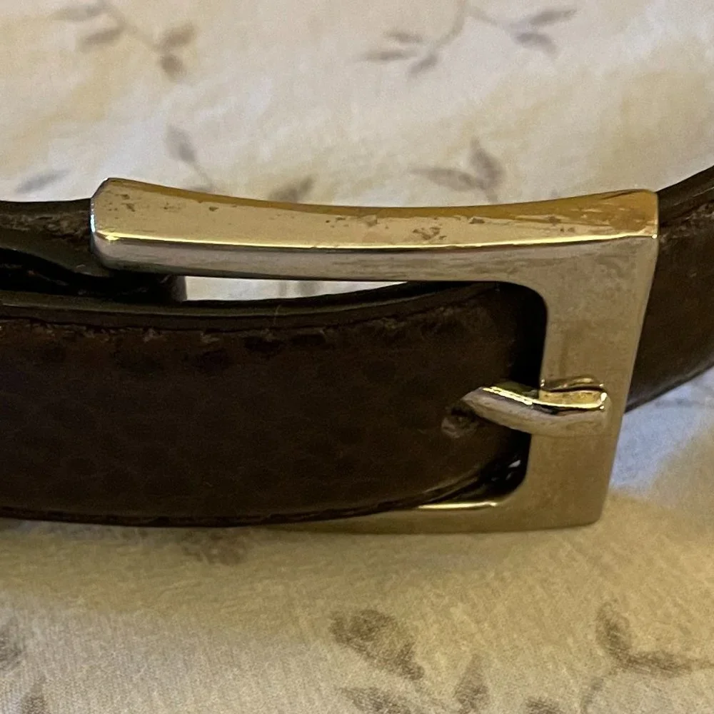 Lot of 1 Boy's Brown Belt and 2 Clip-On Ties (1 Silk, 1 Polyester)